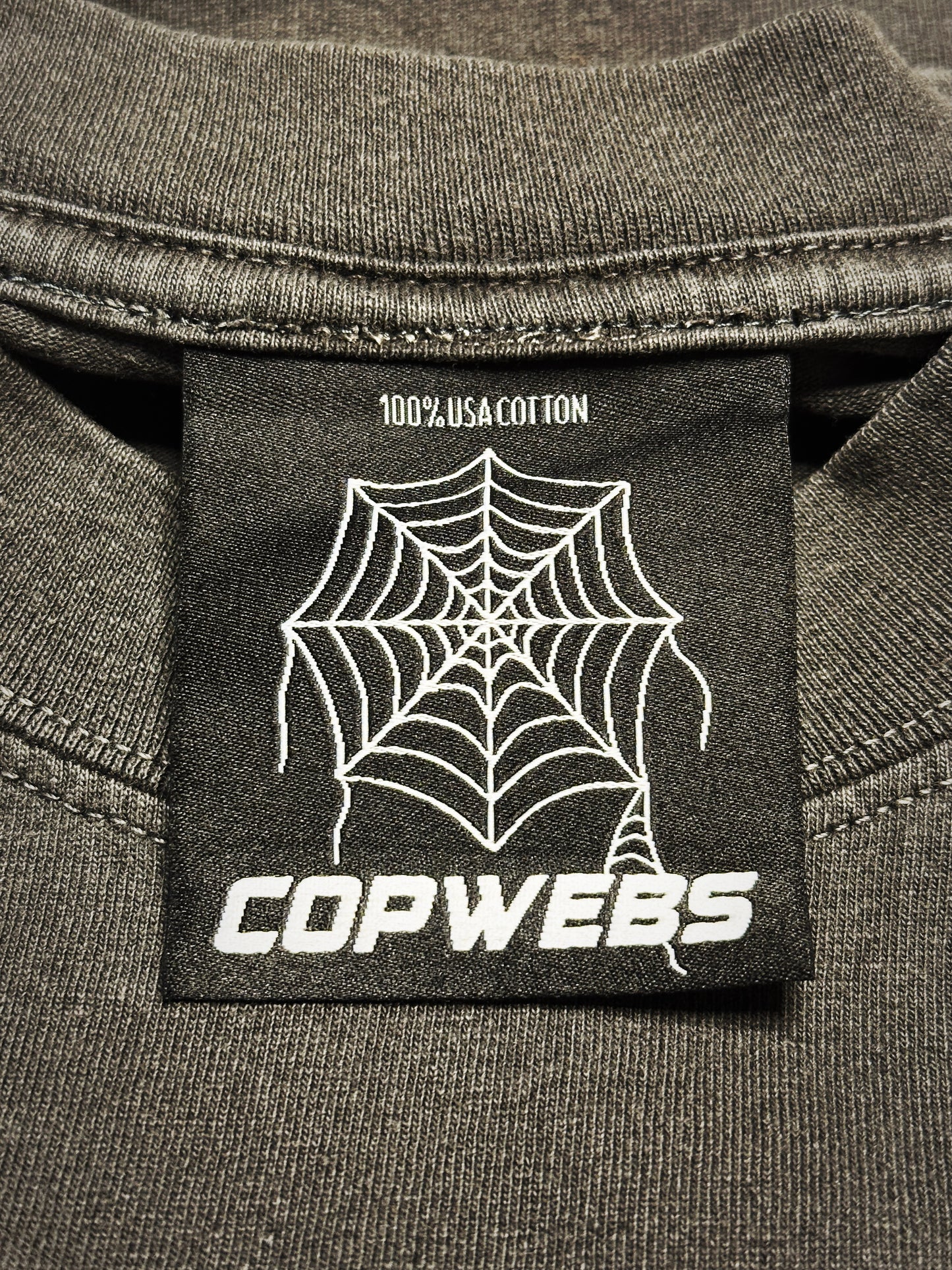 "BIG WEB" Box Tee