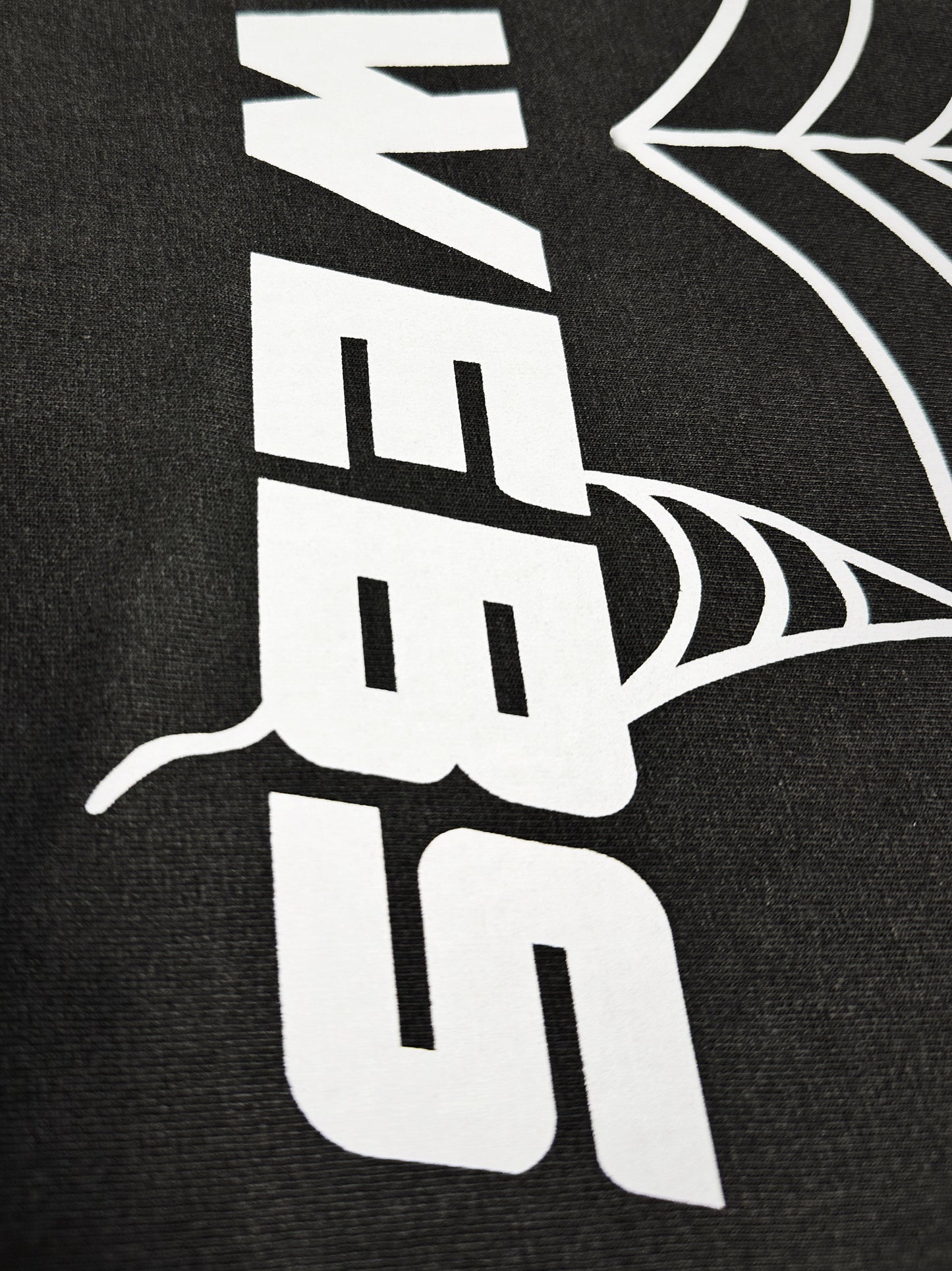 "BIG WEB" Box Tee